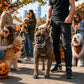 Cyber‑Style Dog Horror Fangs, Give Your Pet A Stunning Beast‑Like Streetwear Look