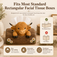 Cute Highland Cow Farmhouse Décor