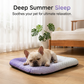 ⏰LAST DAY SALE ONLY￡7.99!!❄Pawchill Pet Cooling Mat for Dogs & Cats 🐾  Naturally Cool Ice-Silk Pad • Breathable, Washable & Soft 🌿  For Floors, Sofas & Car Travel • Multiple Sizes • Gradient Colours ☀️🐶🐱