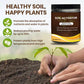 🔥Limited Sale - BUY 1 GET 1 FREE🔥Soil Improvement Loosening Agent（HOT）