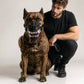 Cyber‑Style Dog Horror Fangs, Give Your Pet A Stunning Beast‑Like Streetwear Look