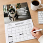 PISSED-OFF CATS 2027 Wall Calendar - Funny Gift for Cat Lovers