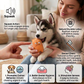 2026 New 🐶Buy 2 get 2 Free🦷🐕Durable Natural Monster Latex Dental Squeaky Dog Toy