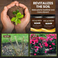 🔥Limited Sale - BUY 1 GET 1 FREE🔥Soil Improvement Loosening Agent（HOT）