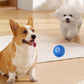 🎄Last Day Promotion- BUY 1 GET 1 FREE!!🐶Automatic Smart Teasing Dog Ball That Can't be Bitten