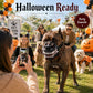 Cyber‑Style Dog Horror Fangs, Give Your Pet A Stunning Beast‑Like Streetwear Look