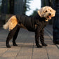 50% OFF🐶Waterproof boots for pets 💖Ultimate Paw Protection