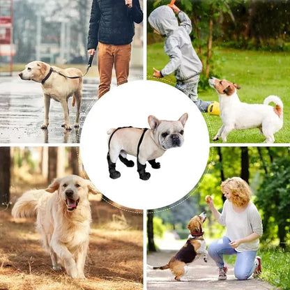 50% OFF🐶Waterproof boots for pets 💖Ultimate Paw Protection