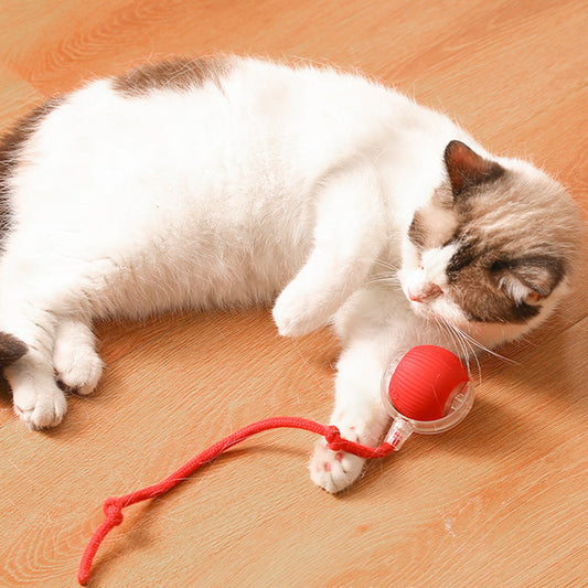 Trending this year🐱🐶Smart Automatic Rolling Pet Ball