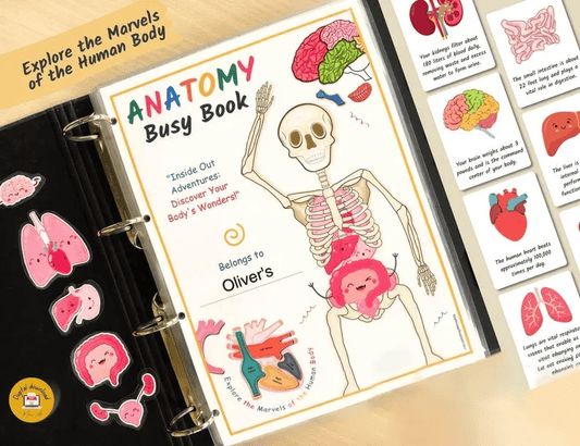 🔥Hot Sell 49% Off🧒Human Anatomy Busy Book