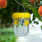 Hot Sale 60% OFF✨Solar Powered Hanging Wasp Trap✨Outdoor Wasp Catcher, Eco-Friendly No Electricity