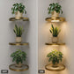 Floating Wall Shelf with Built-in Ambient LED Light