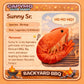Sunny Sr. — Giant Shrimp Plush