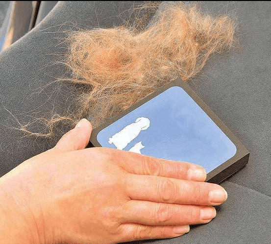Easy Pet Hair Cleaner - dressowy
