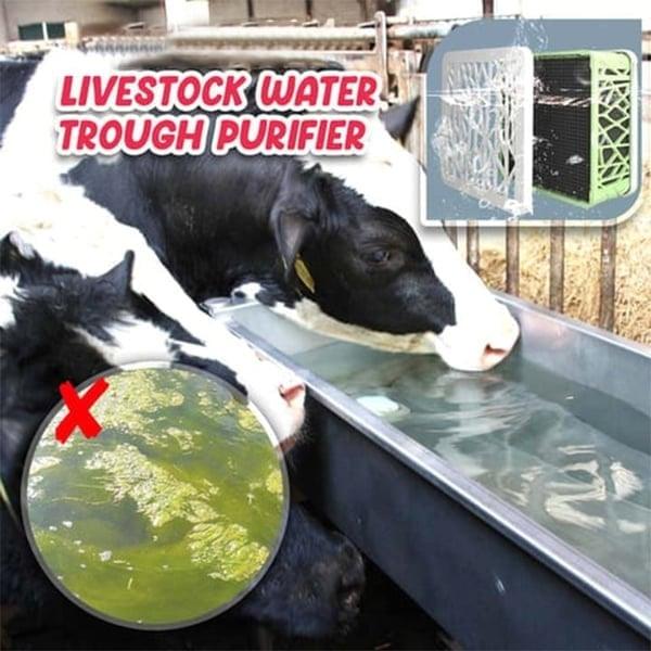 💦Horse Trough Water Purifier Cube💦 dressowy