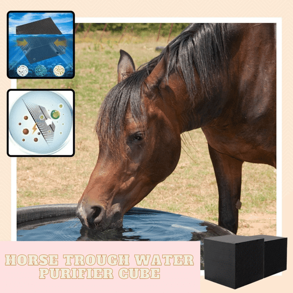 💦Horse Trough Water Purifier Cube💦 - dressowy