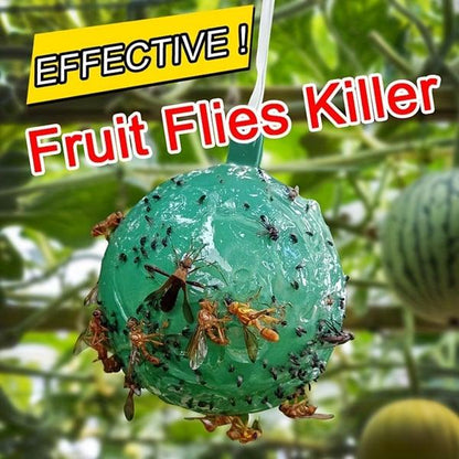 🔥Last Day Promotion 50% OFF🔥Hanging Environmental Fruit Fly Traps Sticky Traps - dressowy