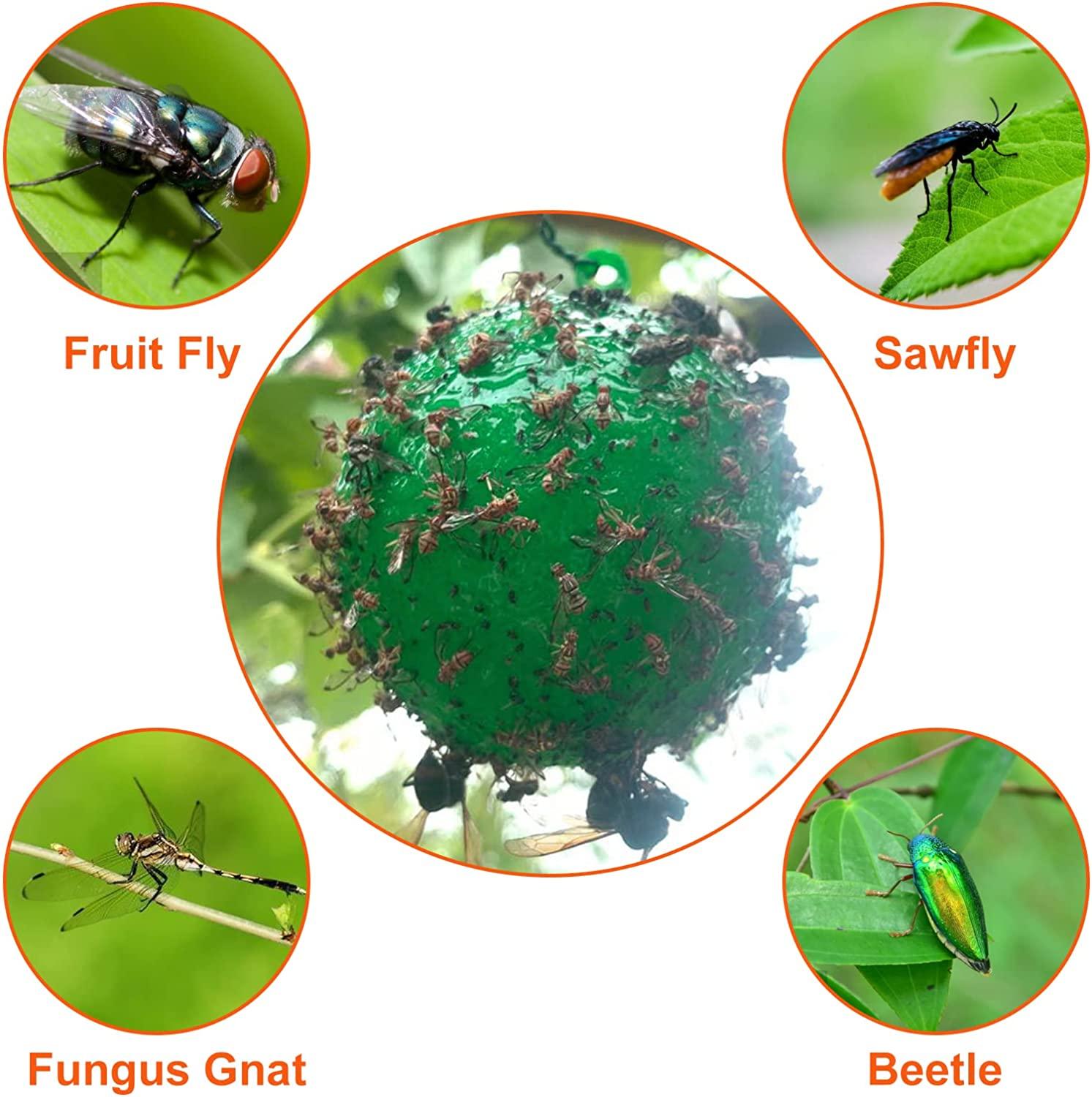 🔥Last Day Promotion 50% OFF🔥Hanging Environmental Fruit Fly Traps Sticky Traps - dressowy