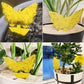 Yellow Sticky Trap Flying Insect Catcher Dual-Sided - dressowy